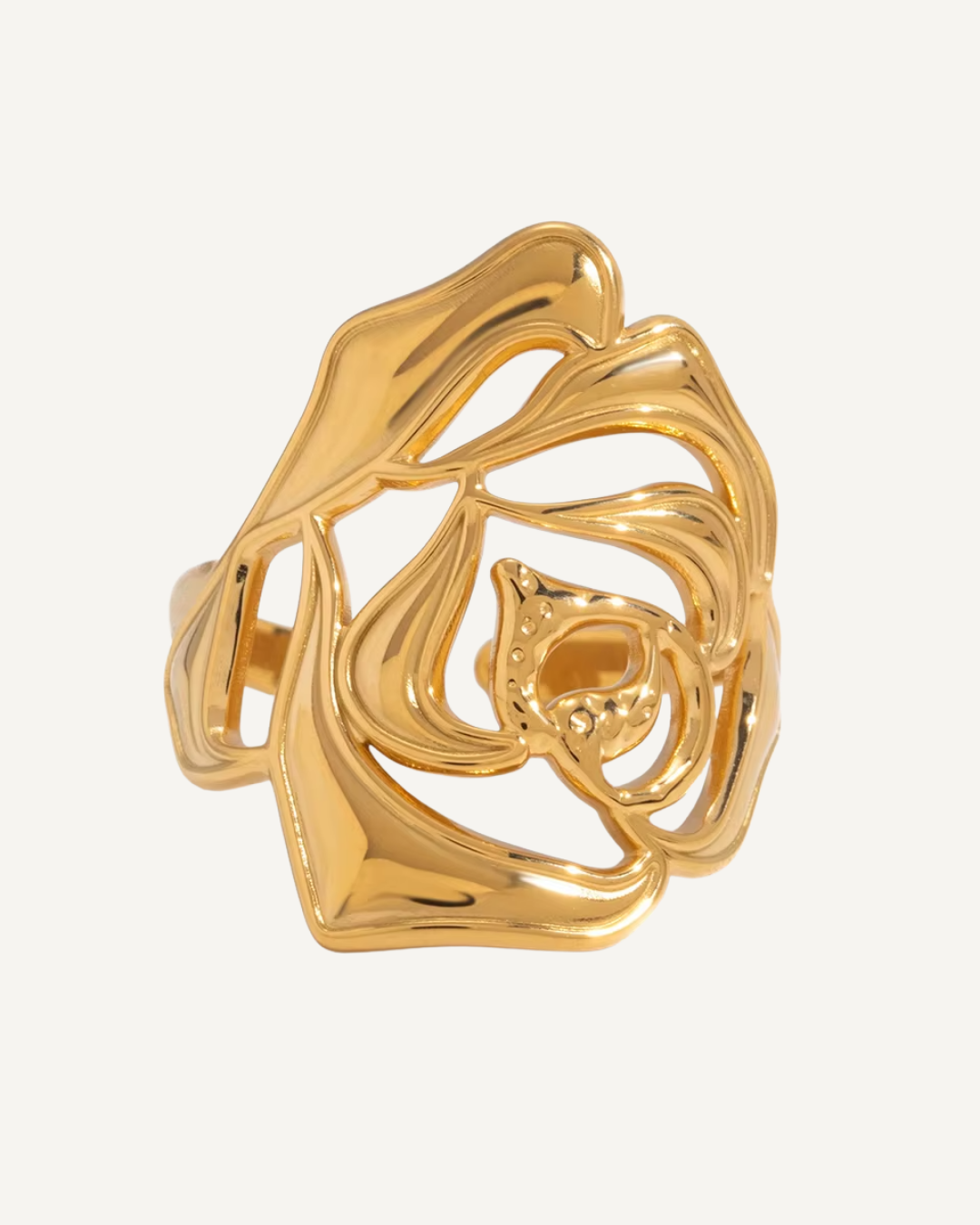 Everyday | Anel Roseli